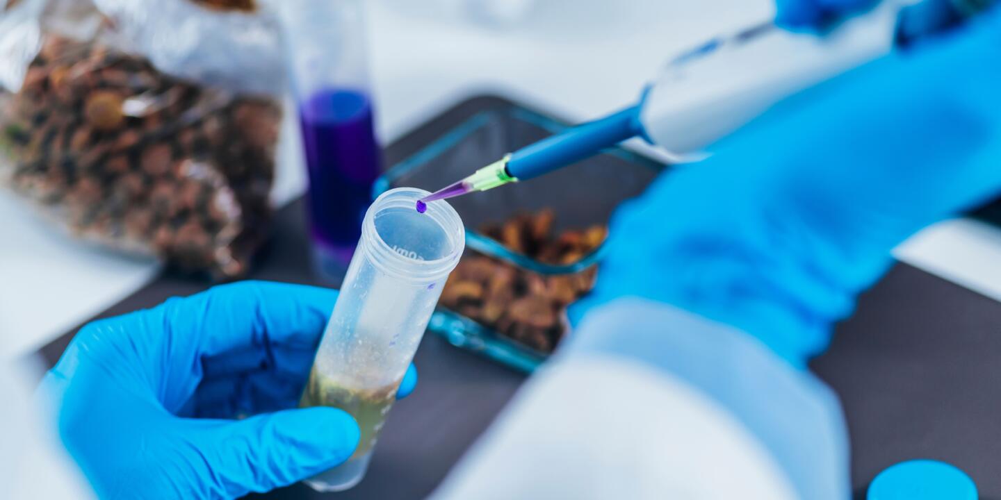 FDA Proposes Mandatory GRAS Notification for Food Ingredients